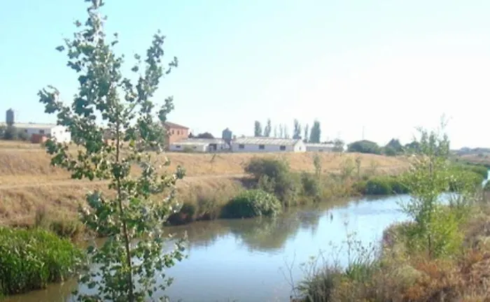 El Colibri De Taraza *